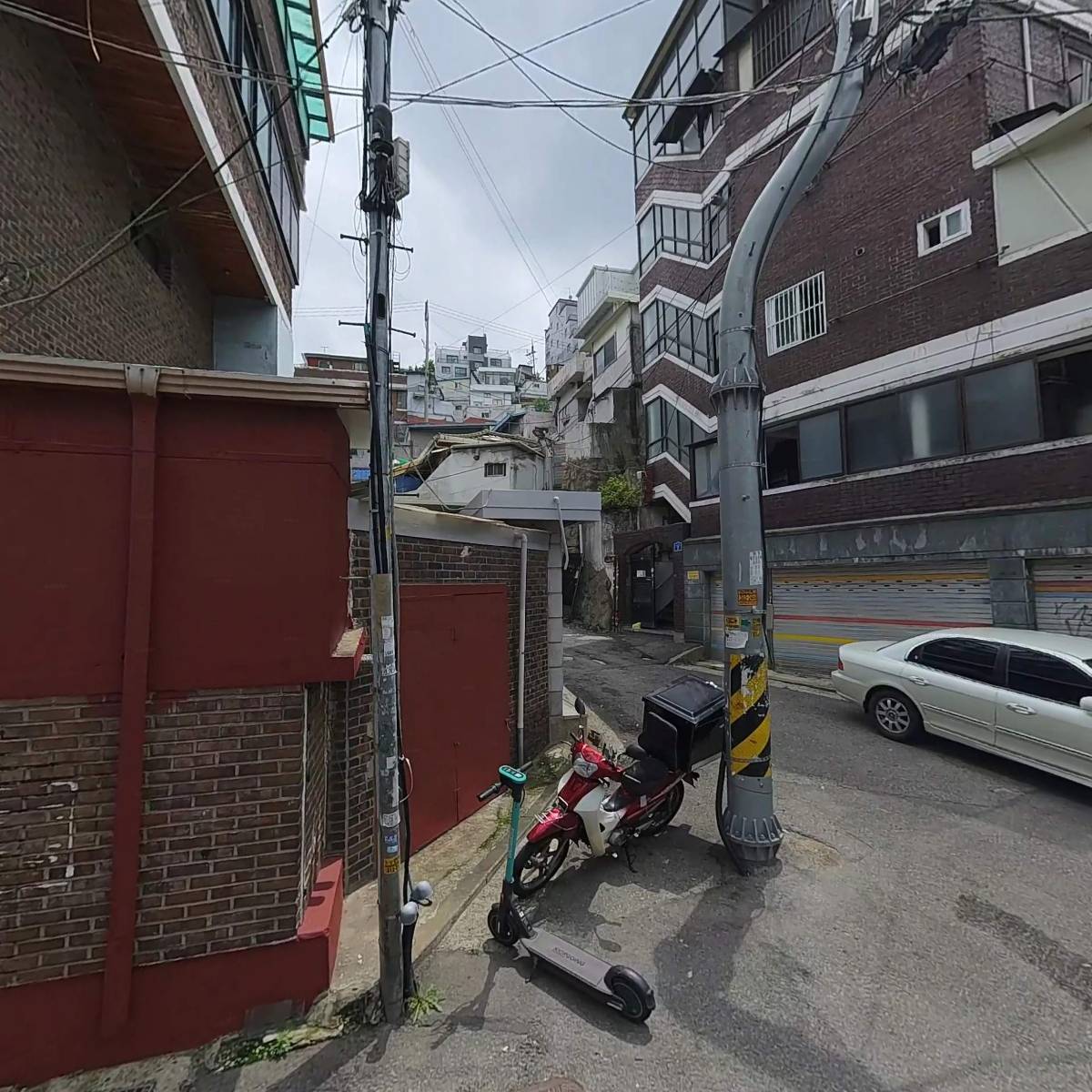 편백나무아래_3