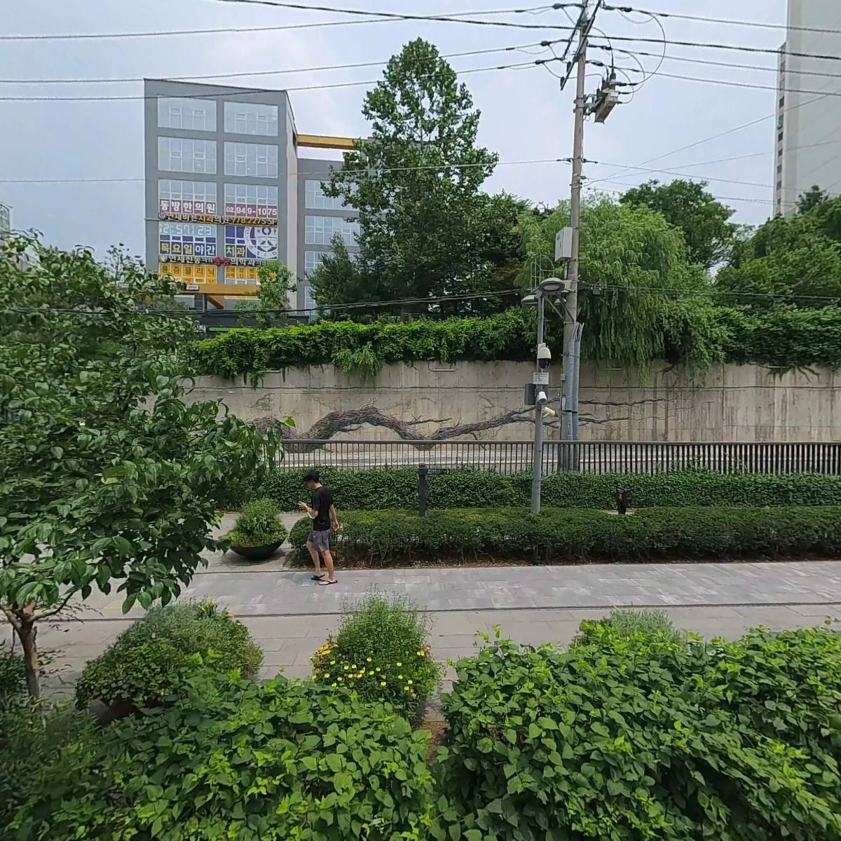 리아트_3