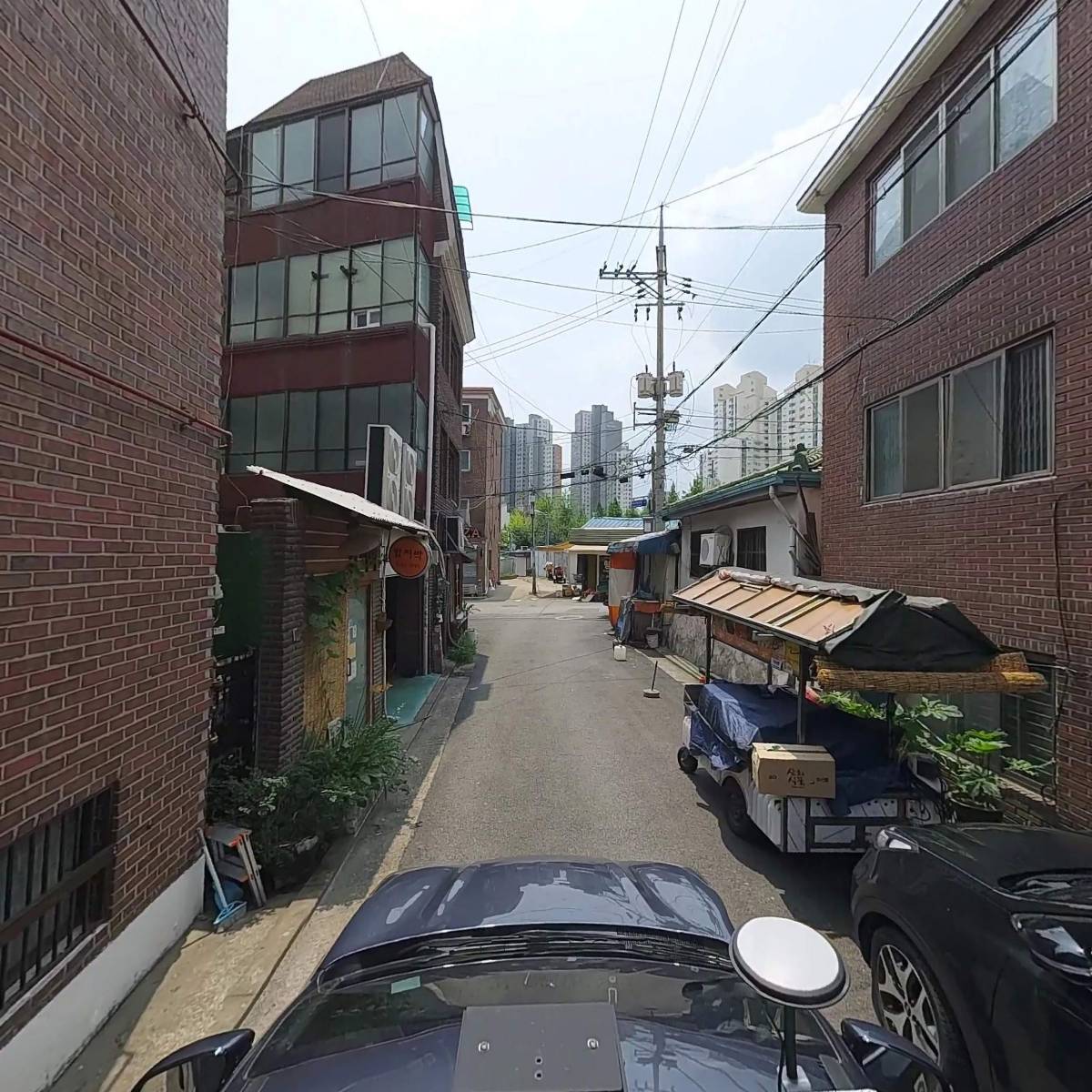 허니몽_4