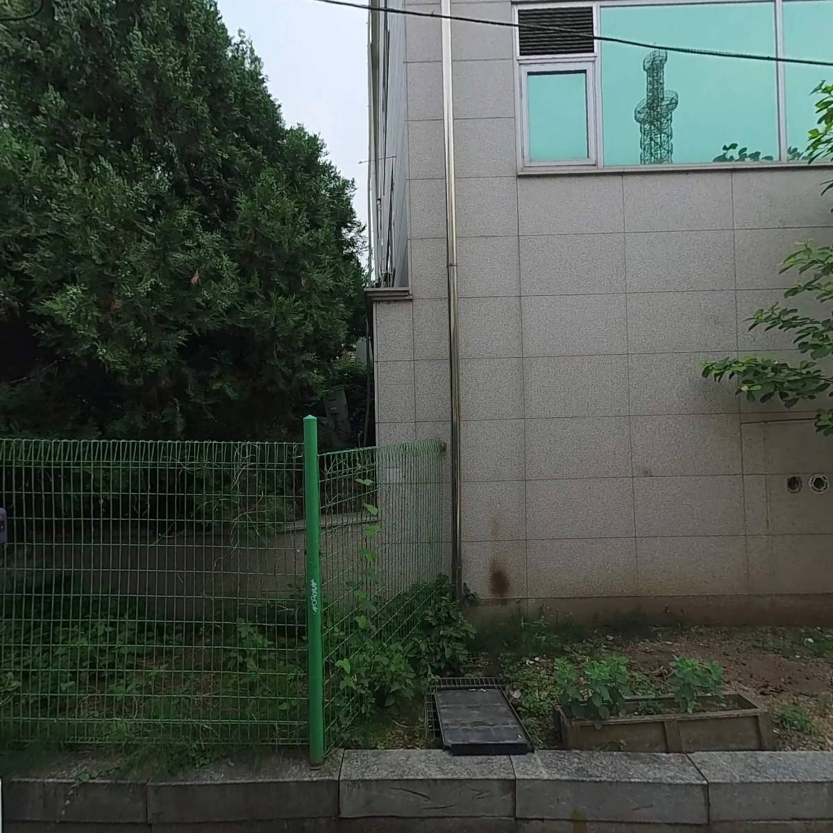 씨네21(주)