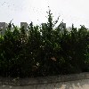 주식회사 섬김과나눔（F&C Co．Ltd）지점_3