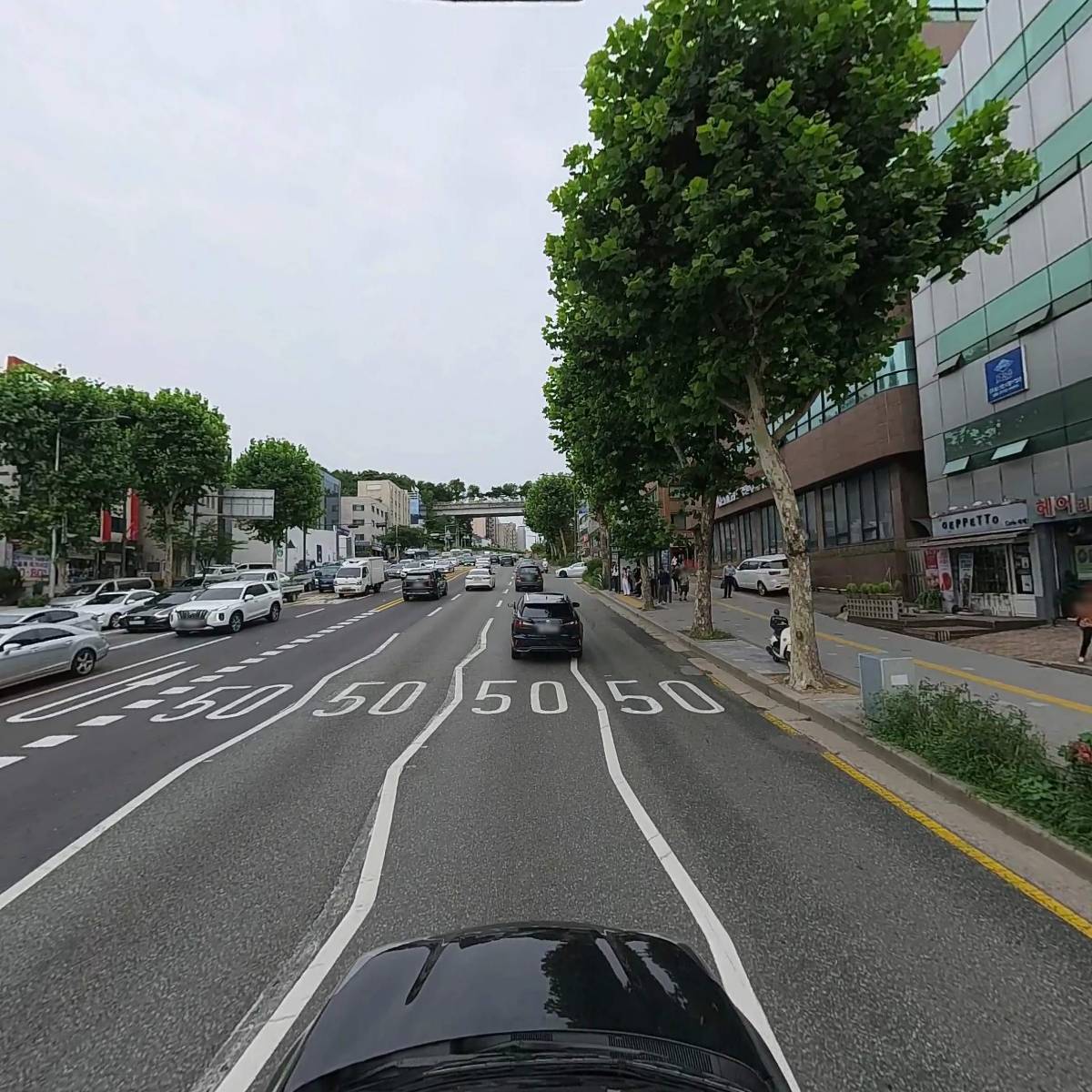 한국팜비오_4
