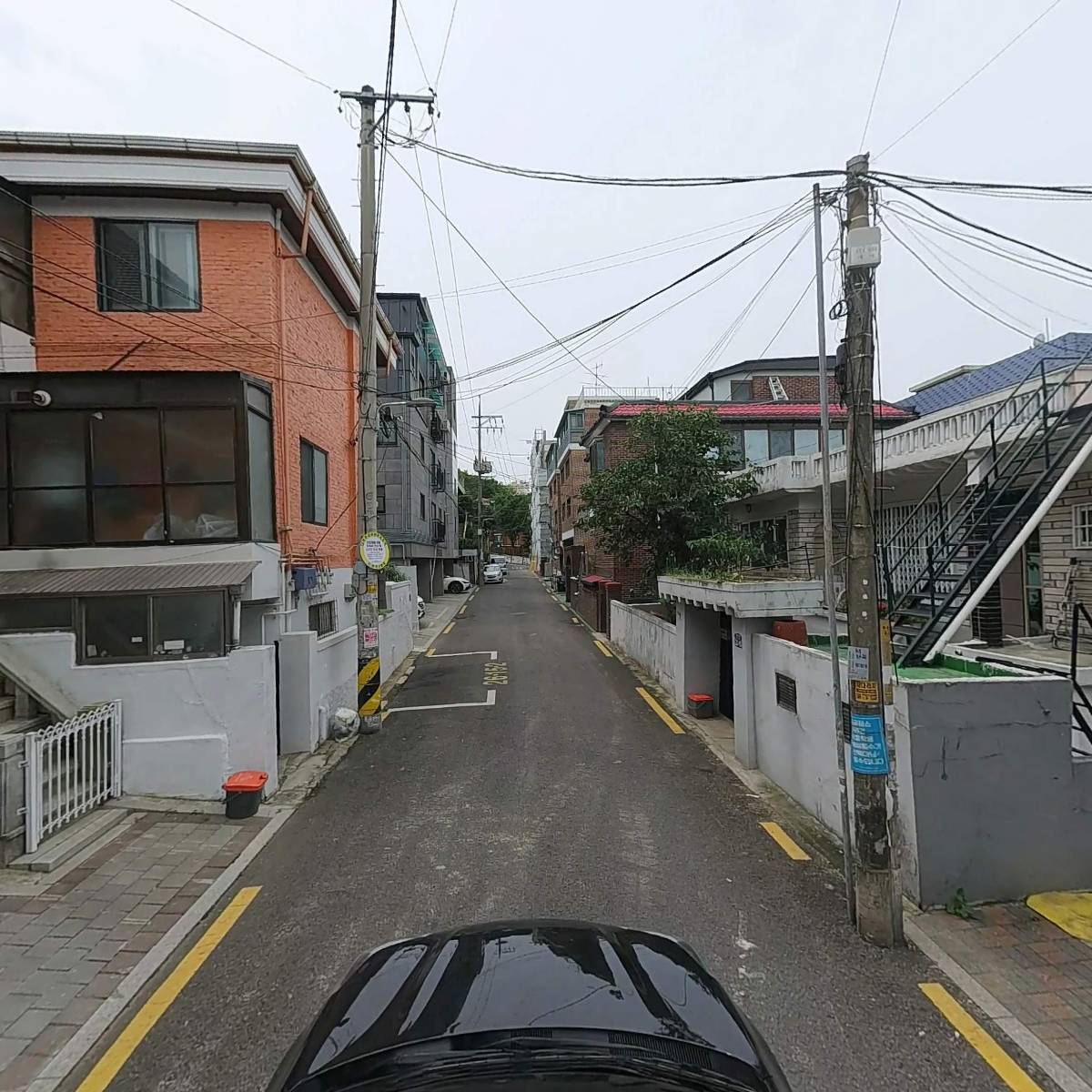란셀_4