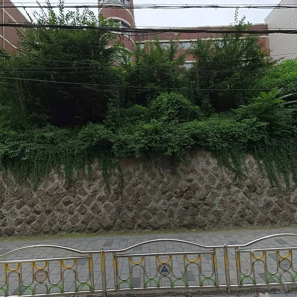 이우대
