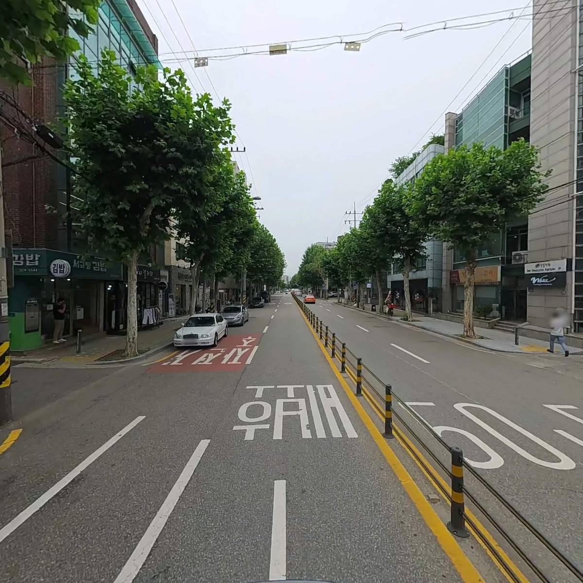 파인트그라픽스_2