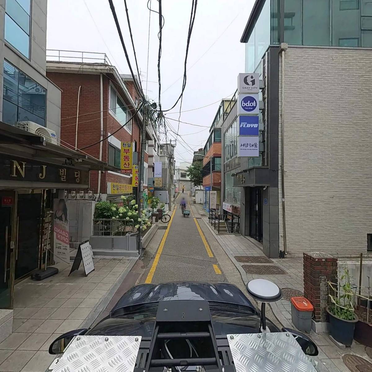 자두_4
