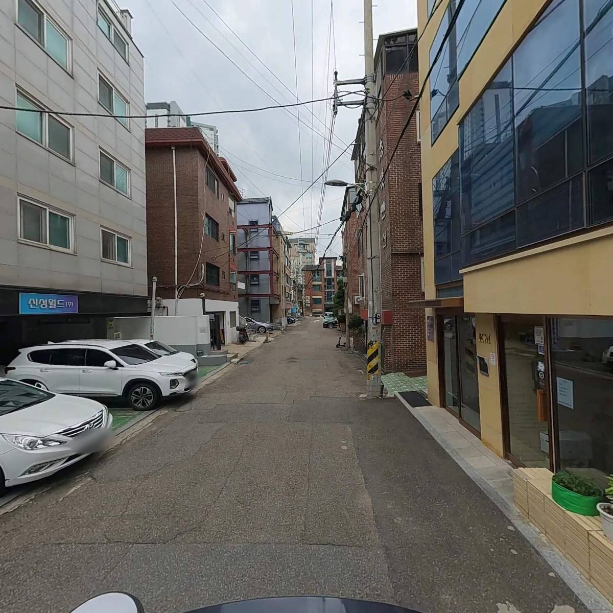라이키_2