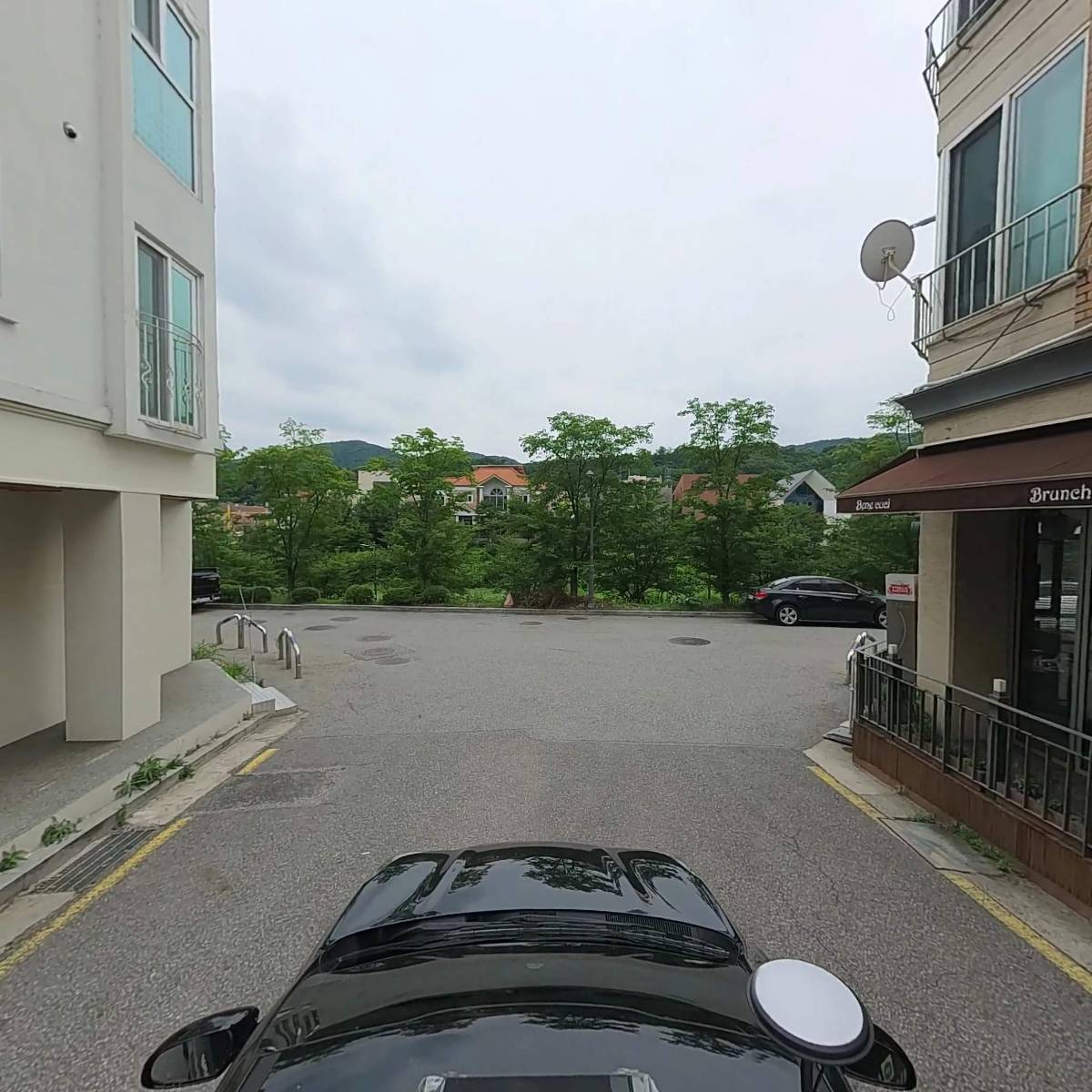 베네쿠치_4