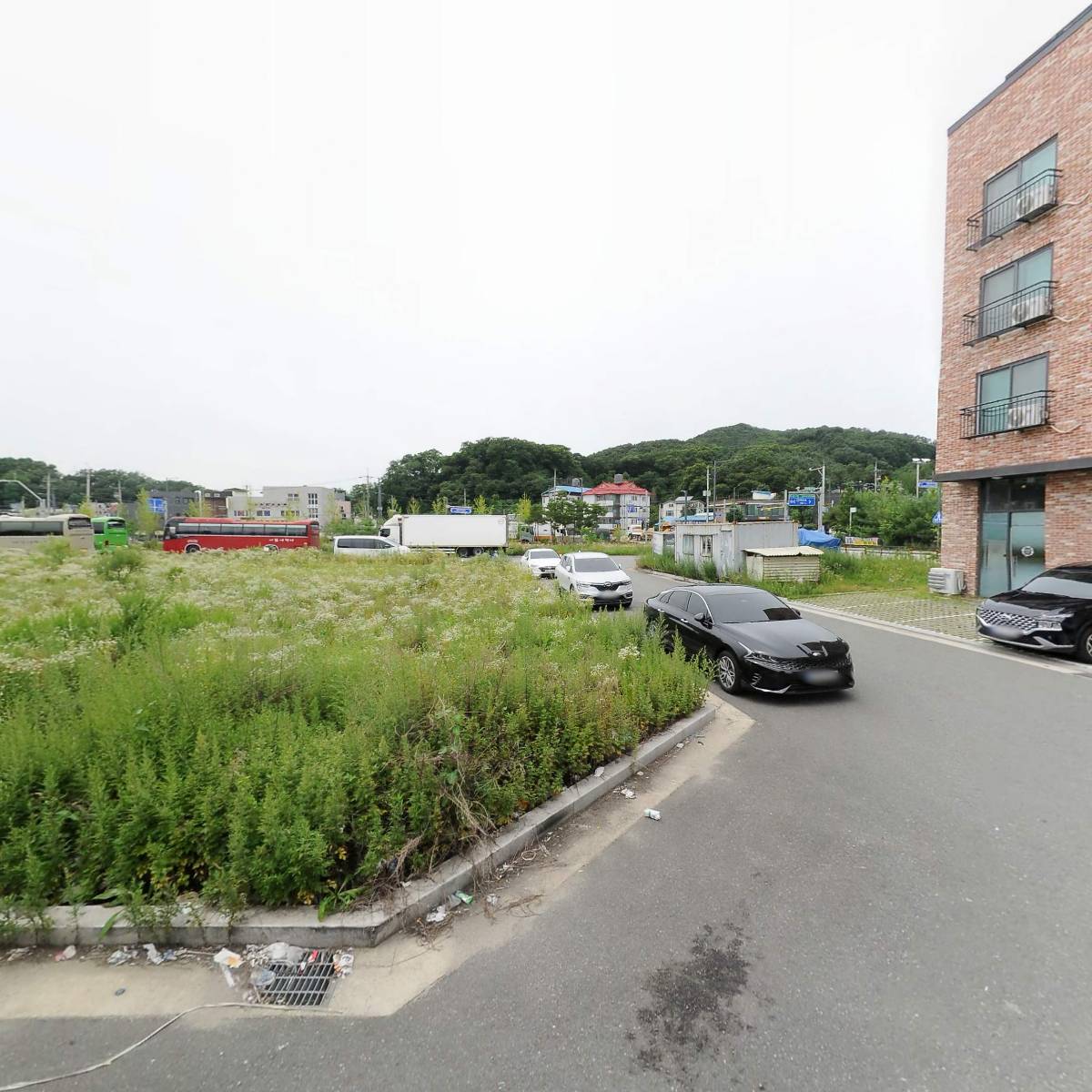 오늘도 오담_3