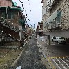 브루노초이_2
