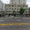 유니독 강아지분양 영등포동작점_3