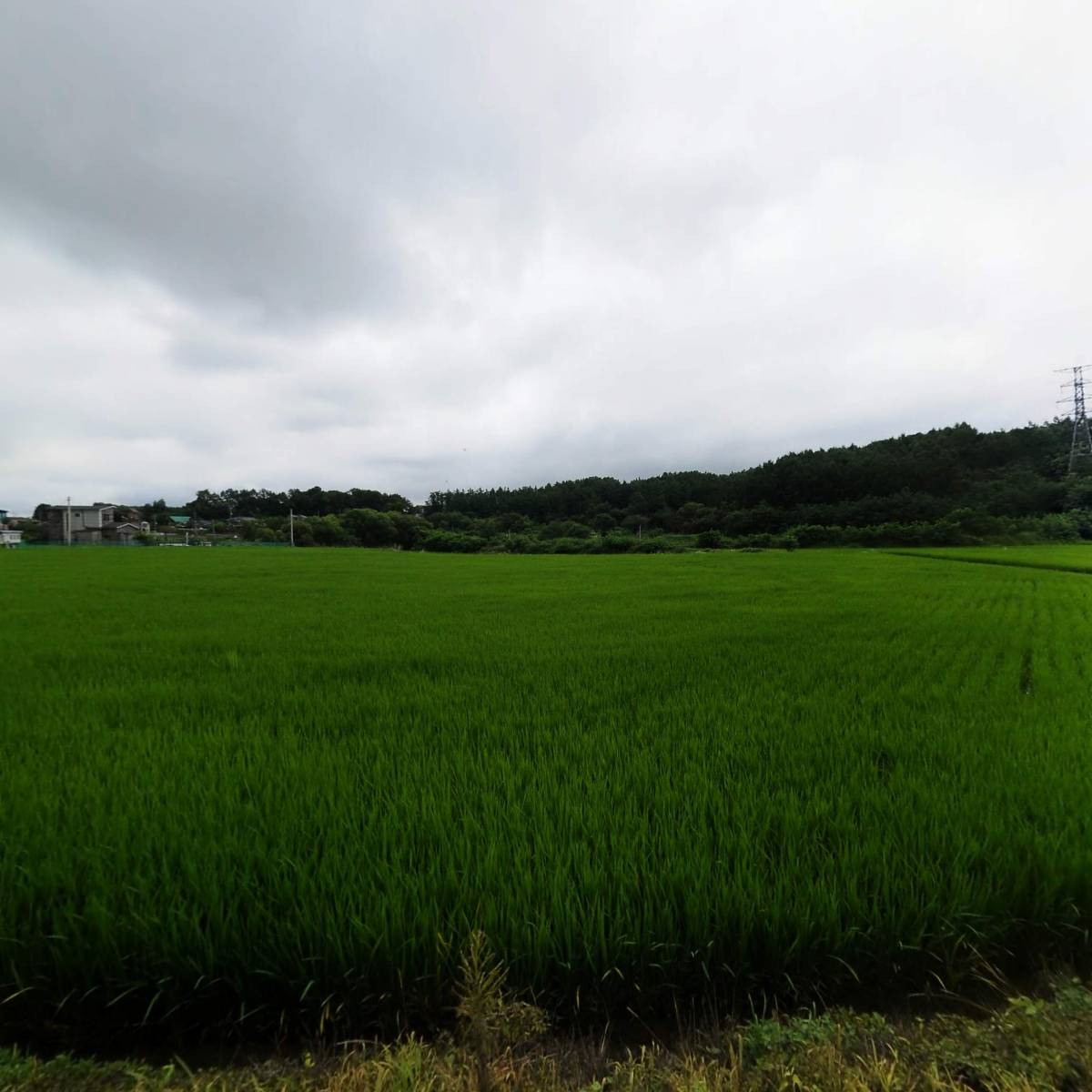 주식회사 올리바르떼_3