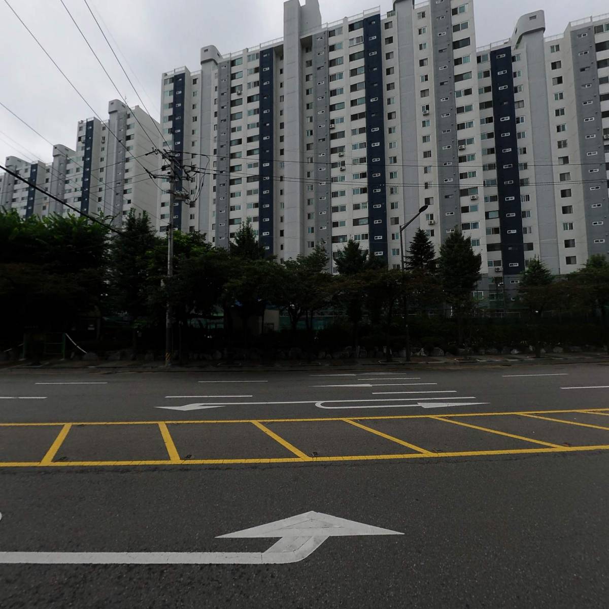 크레비스_3