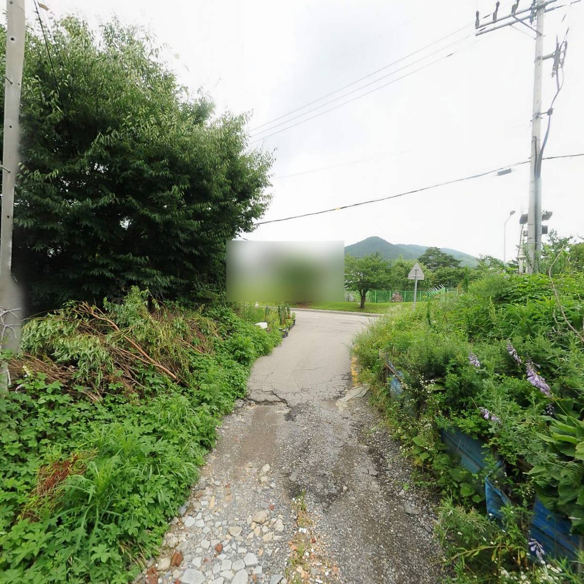 행운화원_2