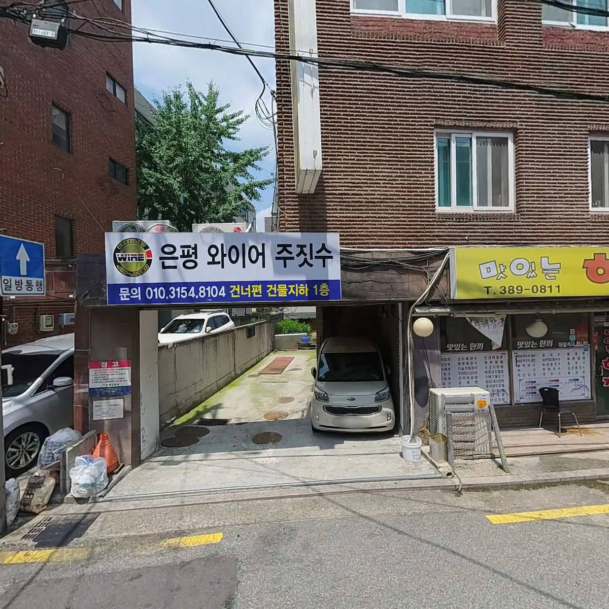은평 와이어 주짓수