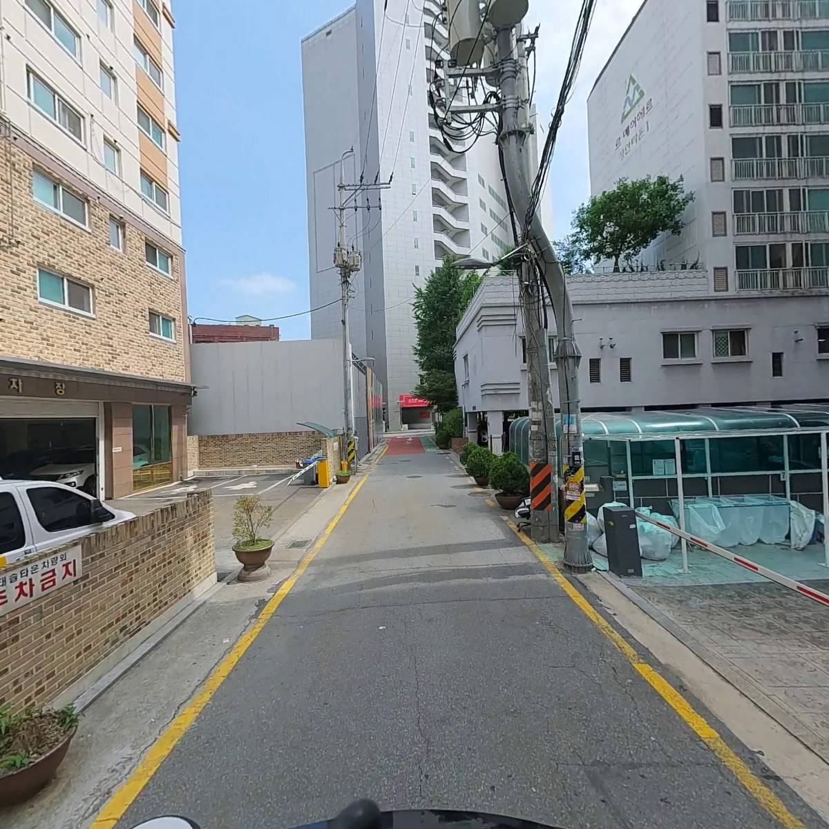 산속에백만송희_2