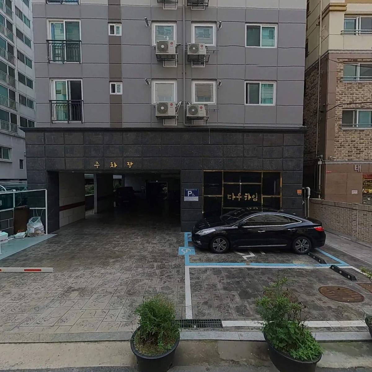 산속에백만송희_3