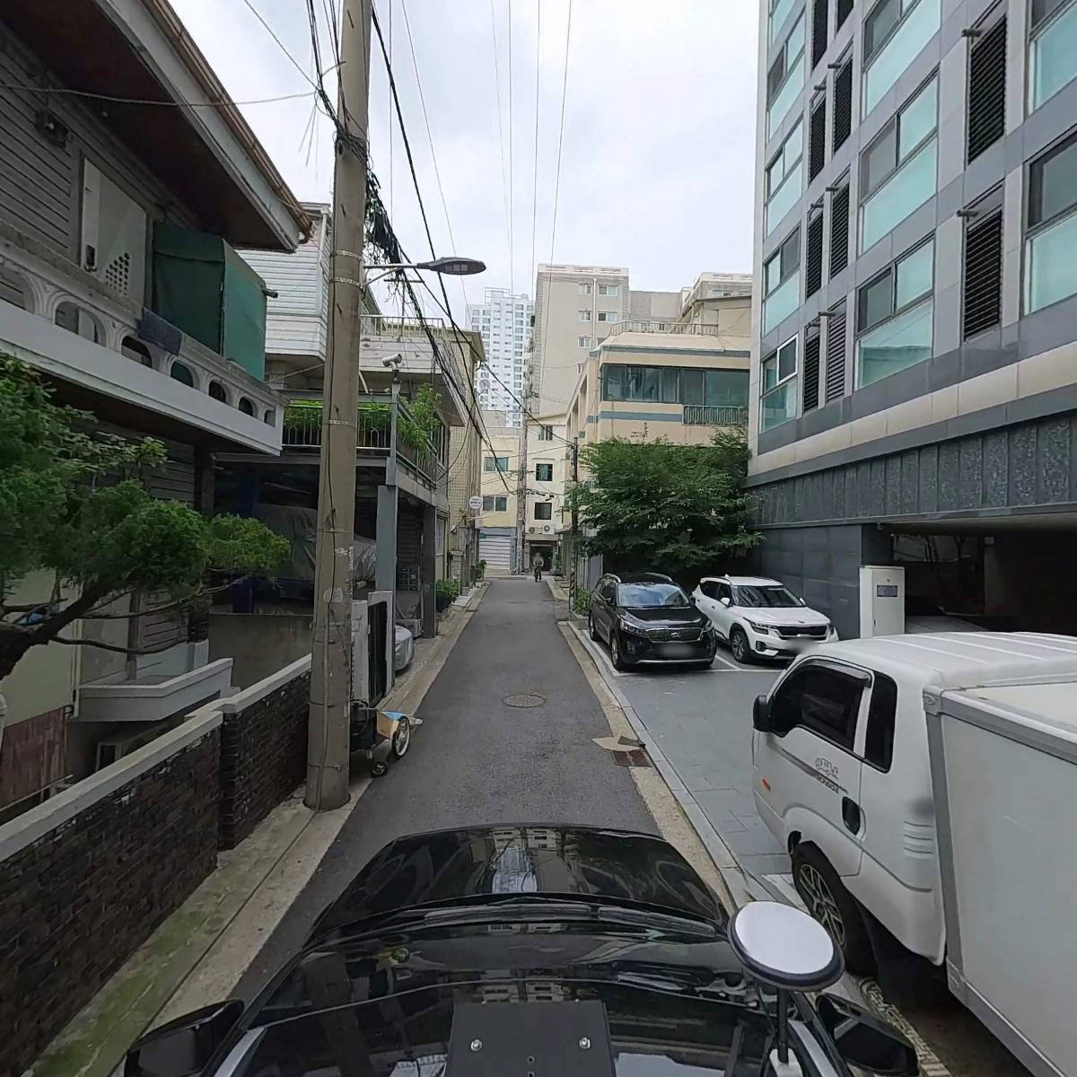 뮤티들리_4