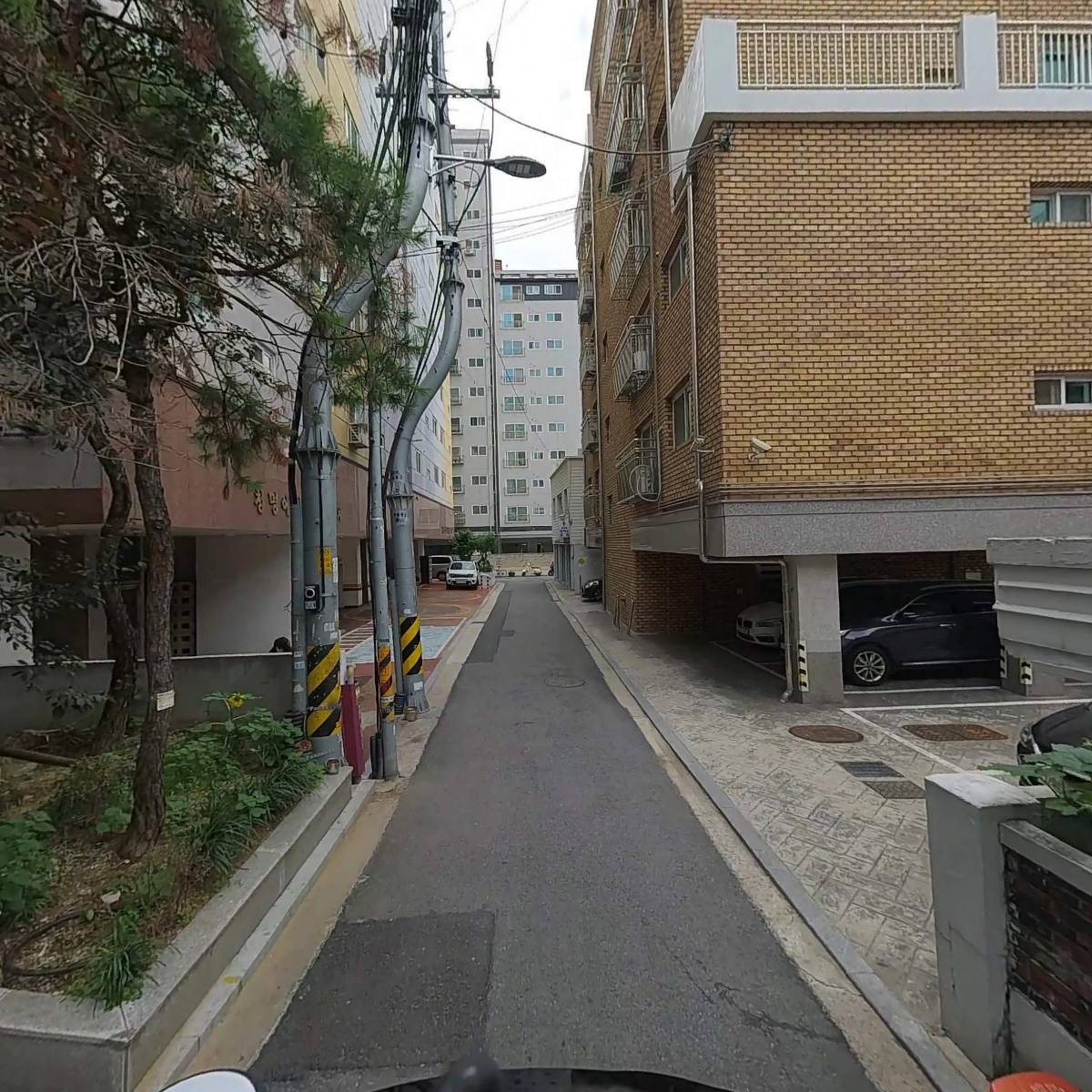 뮤티들리_2