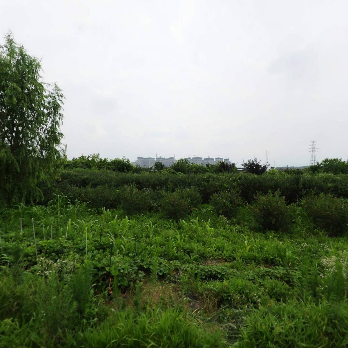 (주) 유로피싱(Eurofishing Co., Ltd. )