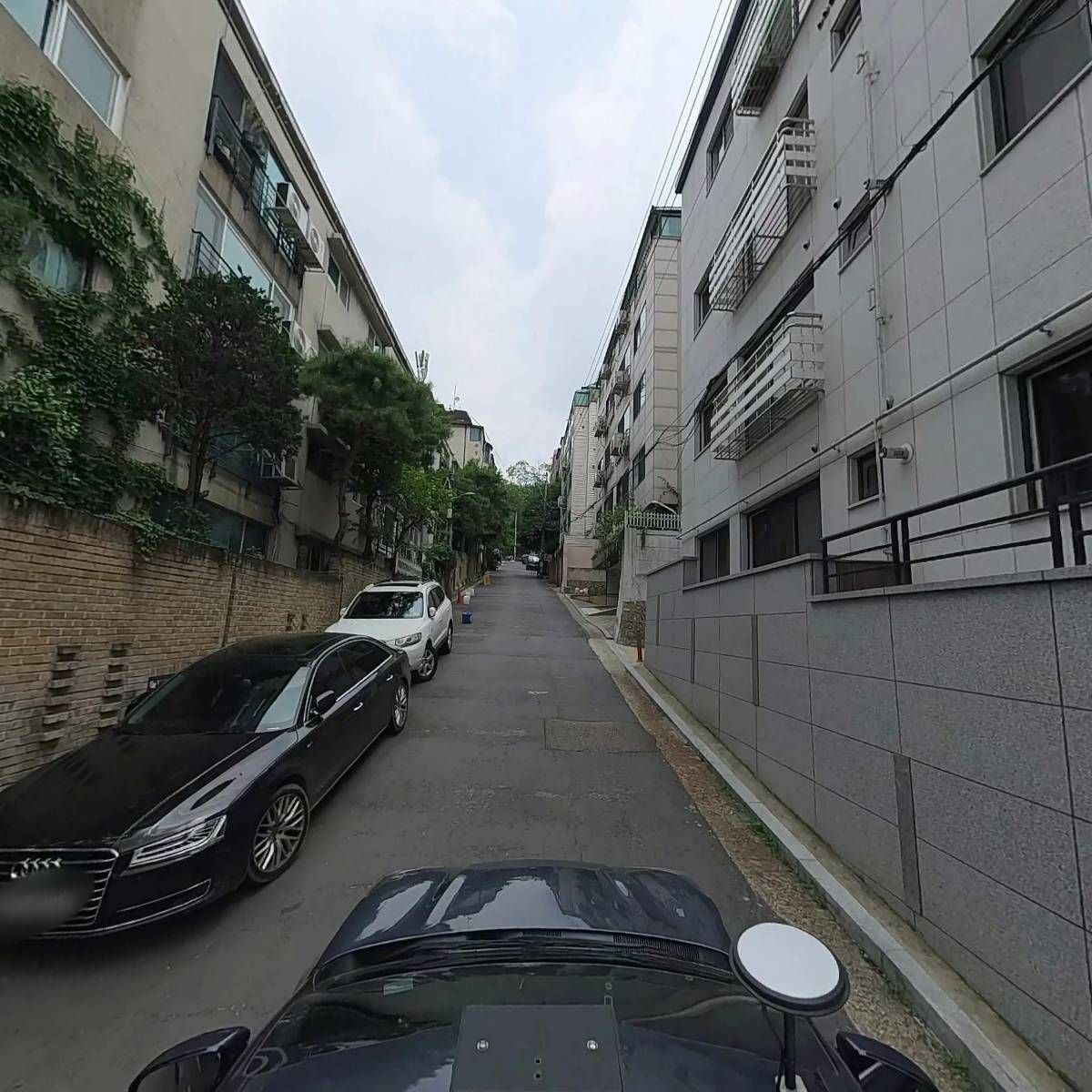 알렉 라보_4