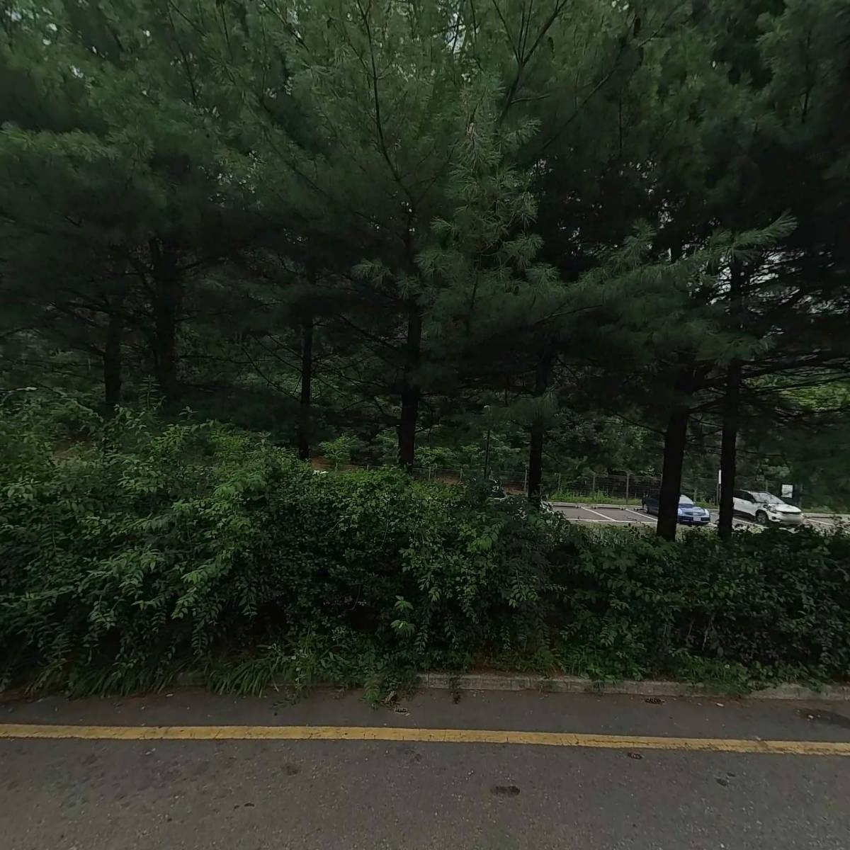 아브락사스