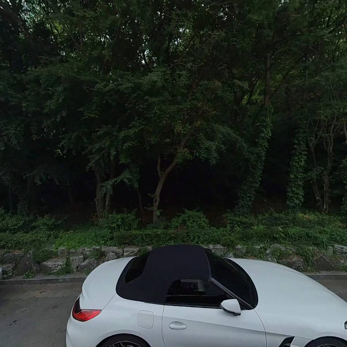 오에프디(ofd)_3
