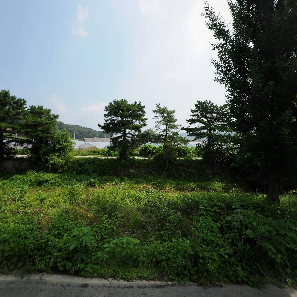 (주)대원색소