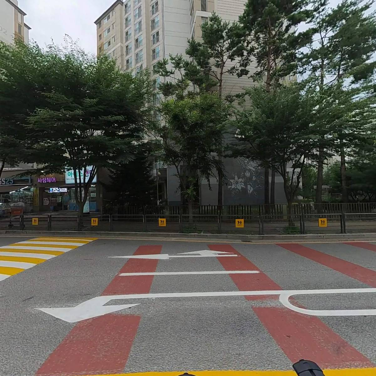 RNC Korea_3