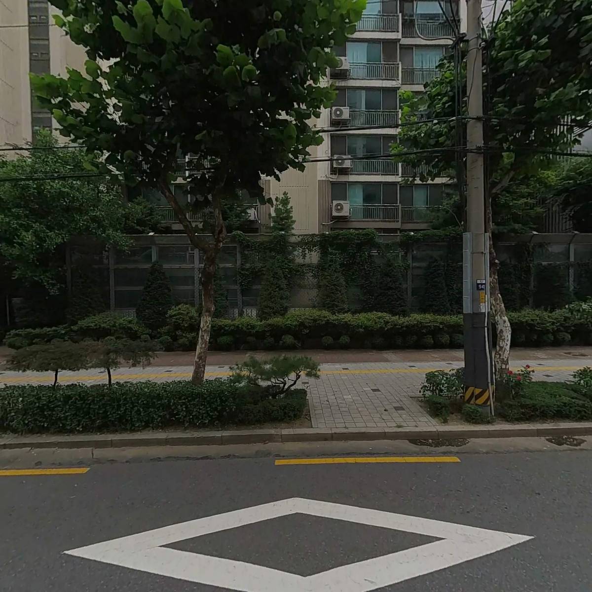 퍼플스타