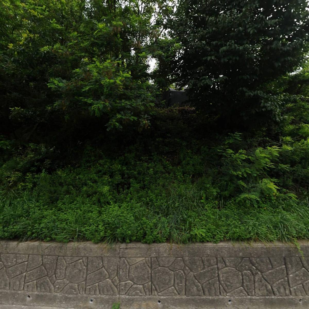 이걸로 산다