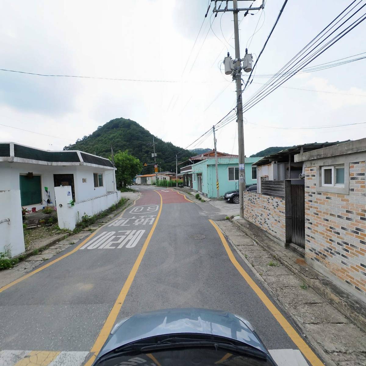 벌떼가든_4