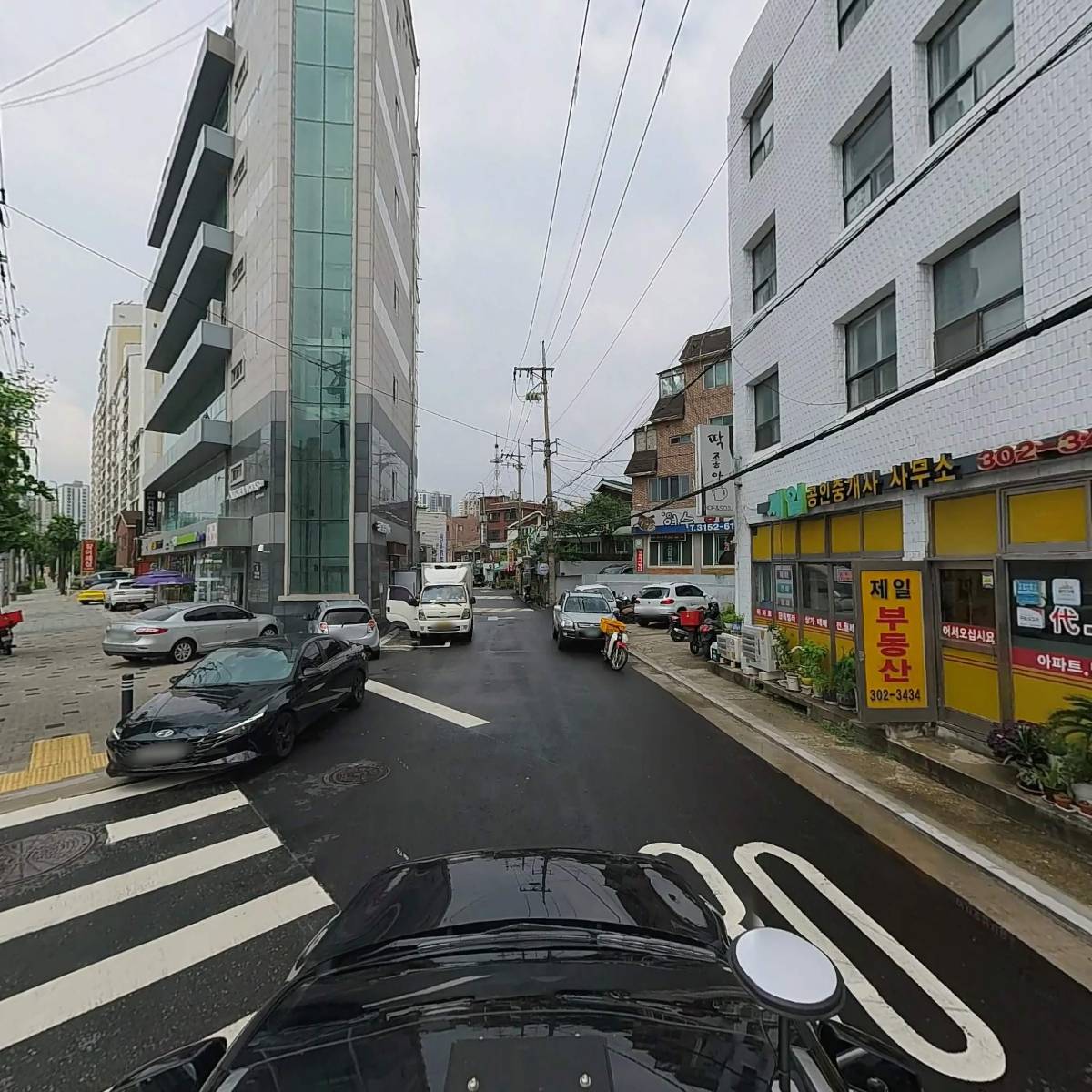 정닭_4