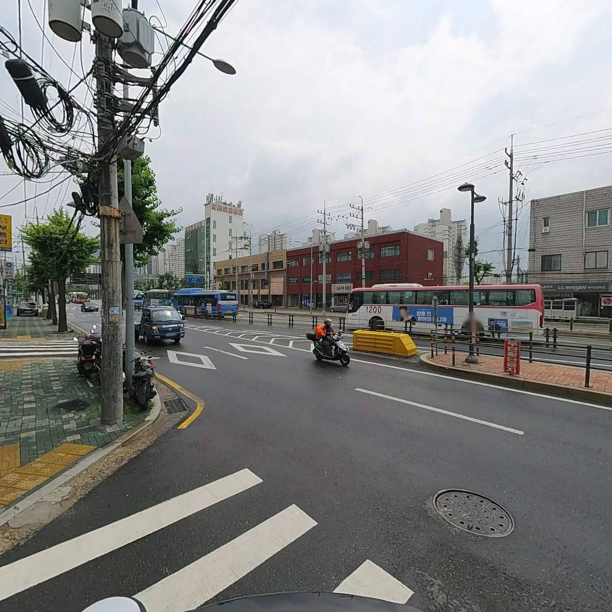 정닭_2