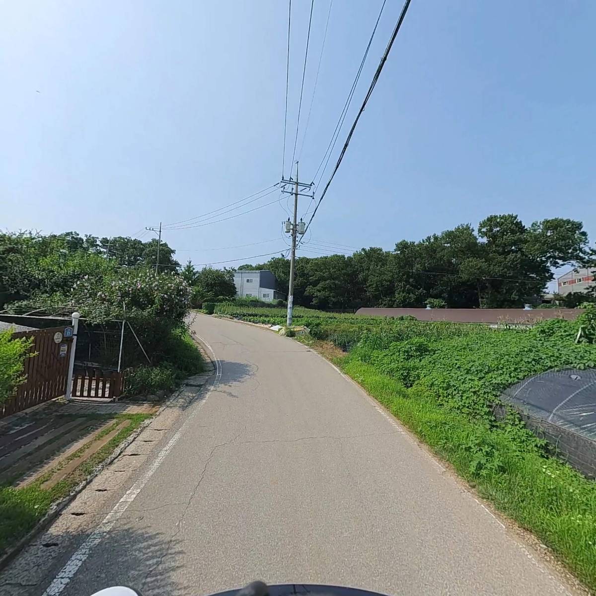 욜로올래_2