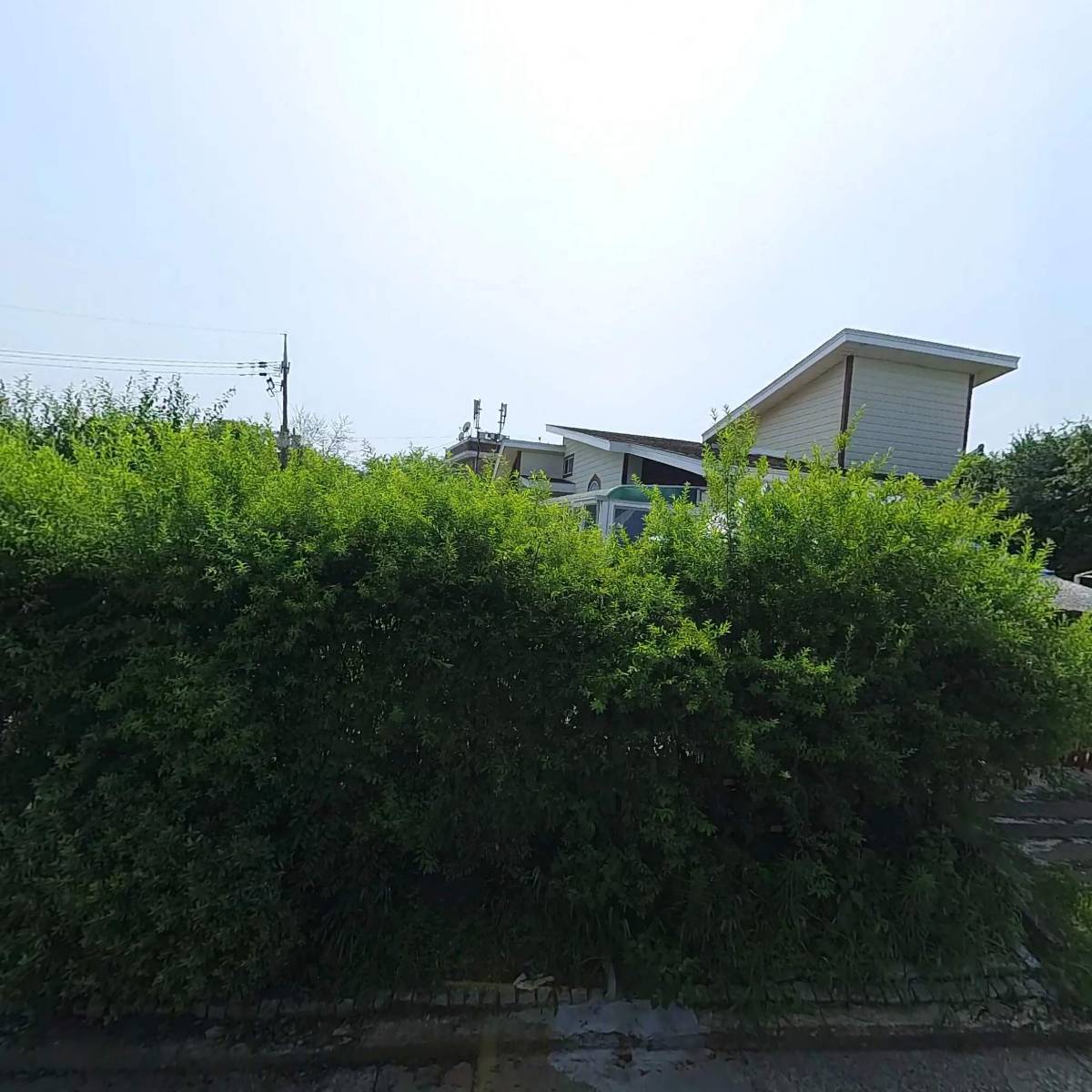 욜로올래