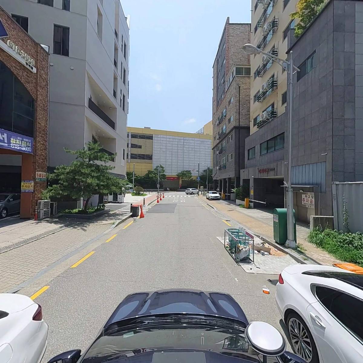 달빛나라 쑥쑥_4