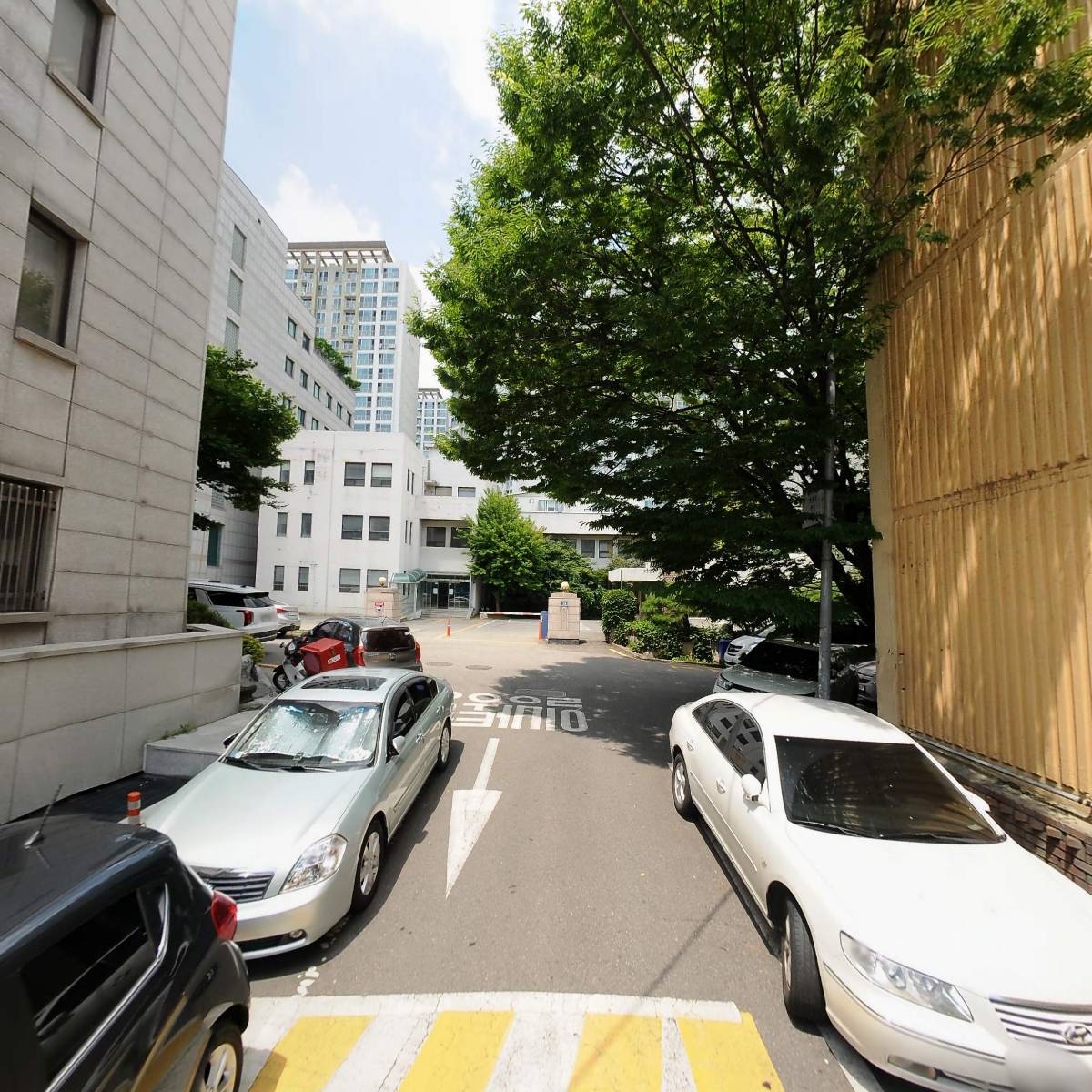 블루밴드_2