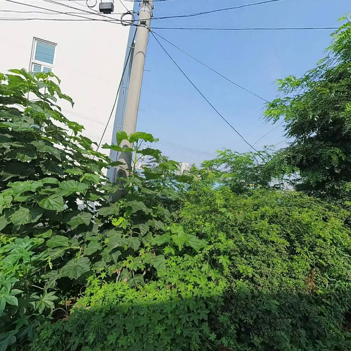 더줌 글로벌(평택점)_3