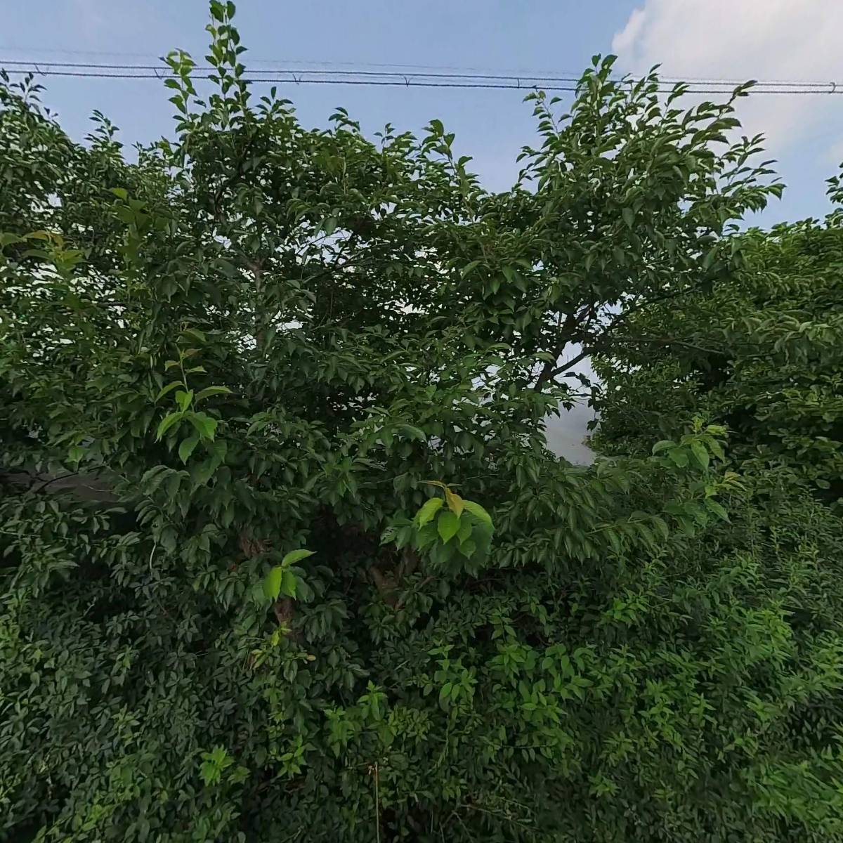(주)용진테크