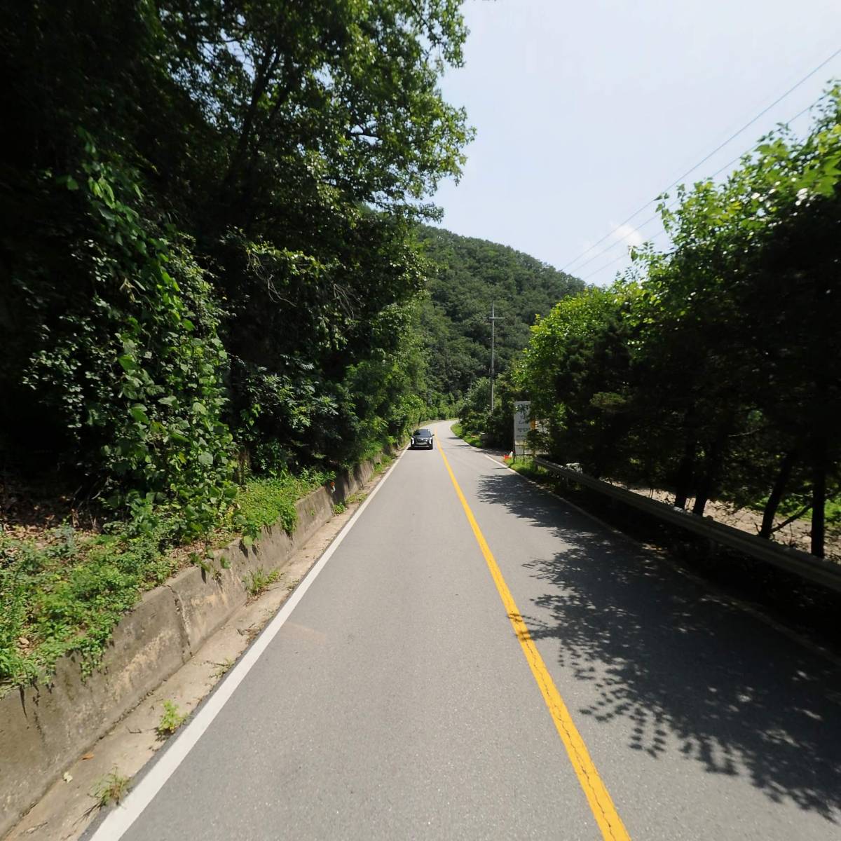 골든피그하우스_2