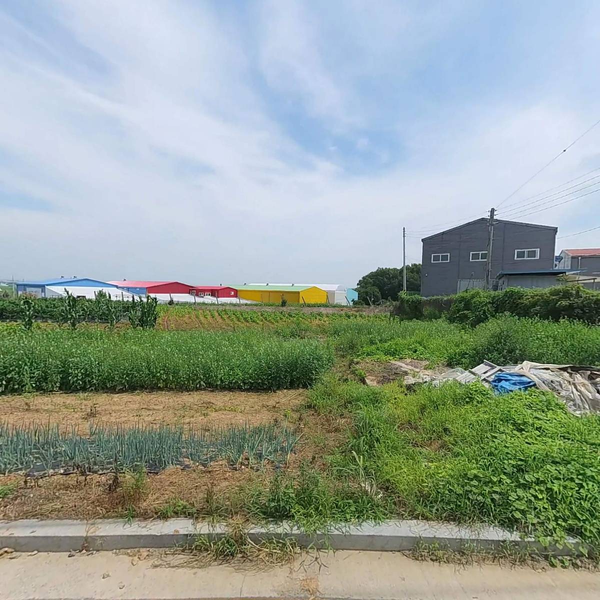 비전테크