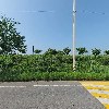 주식회사 백두푸드_3