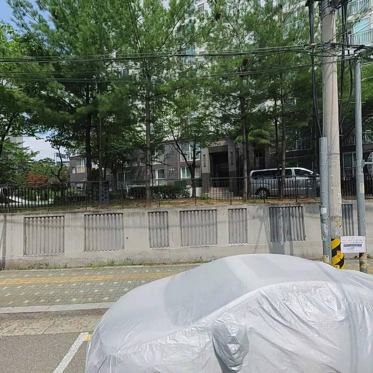 센스엘