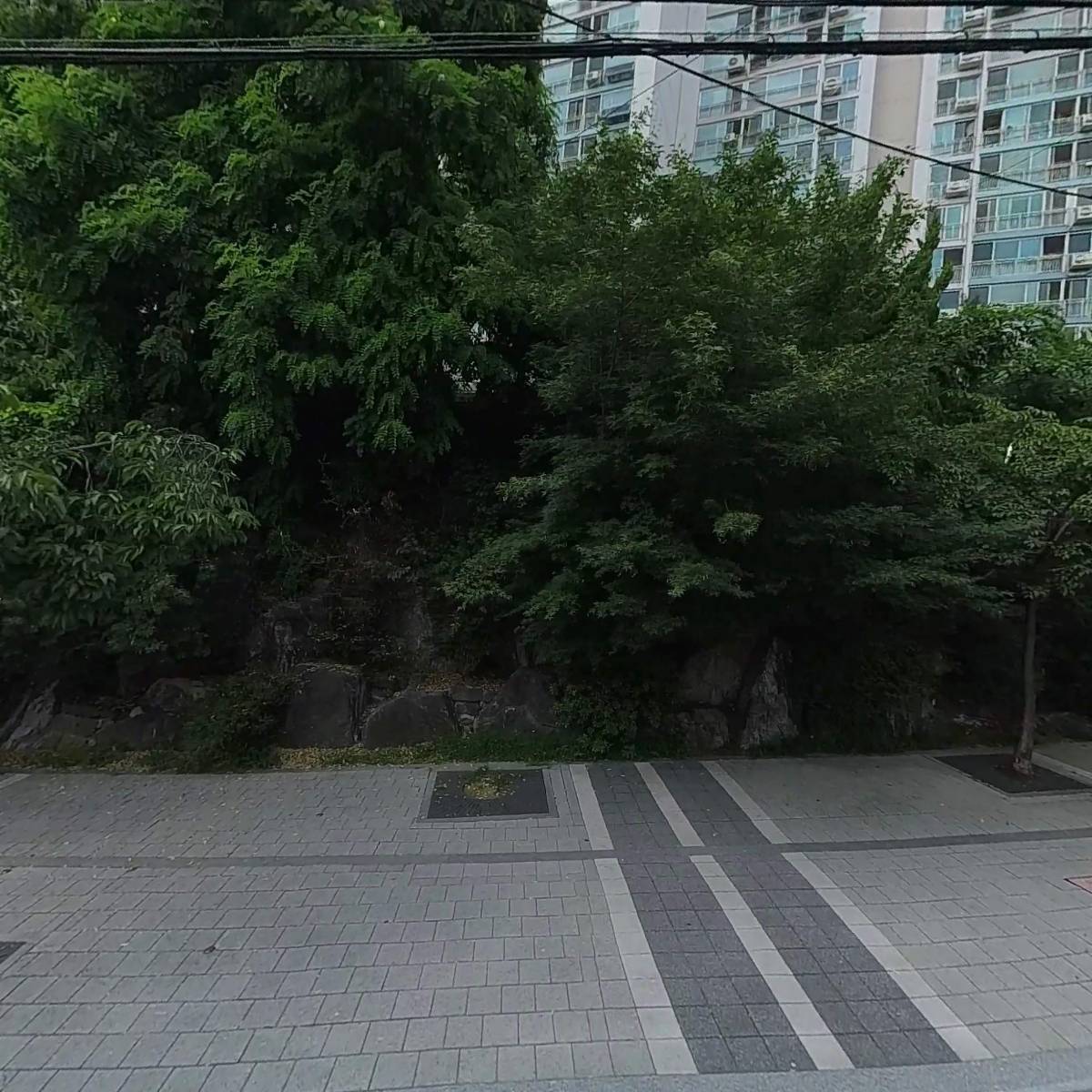 청담꼼쟁이샵