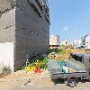 완미족발 평택지제동삭점