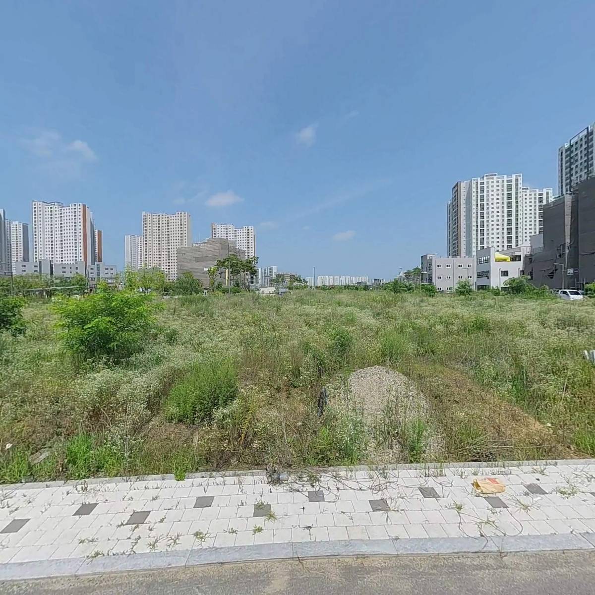 대신네트웍스(주)