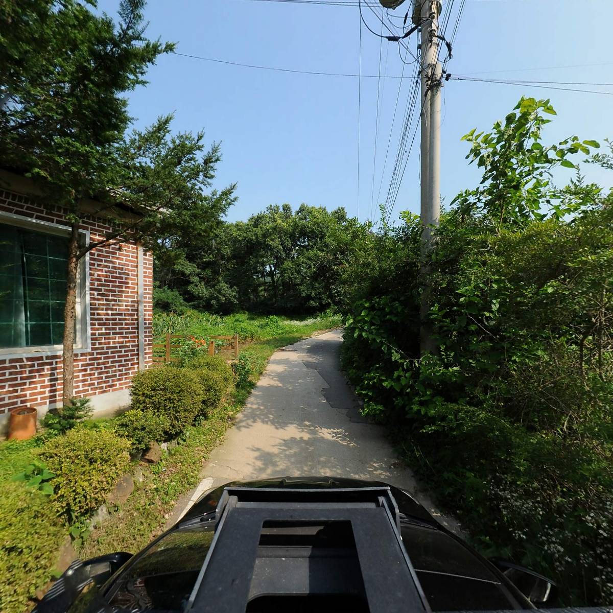라쉬친구들_4