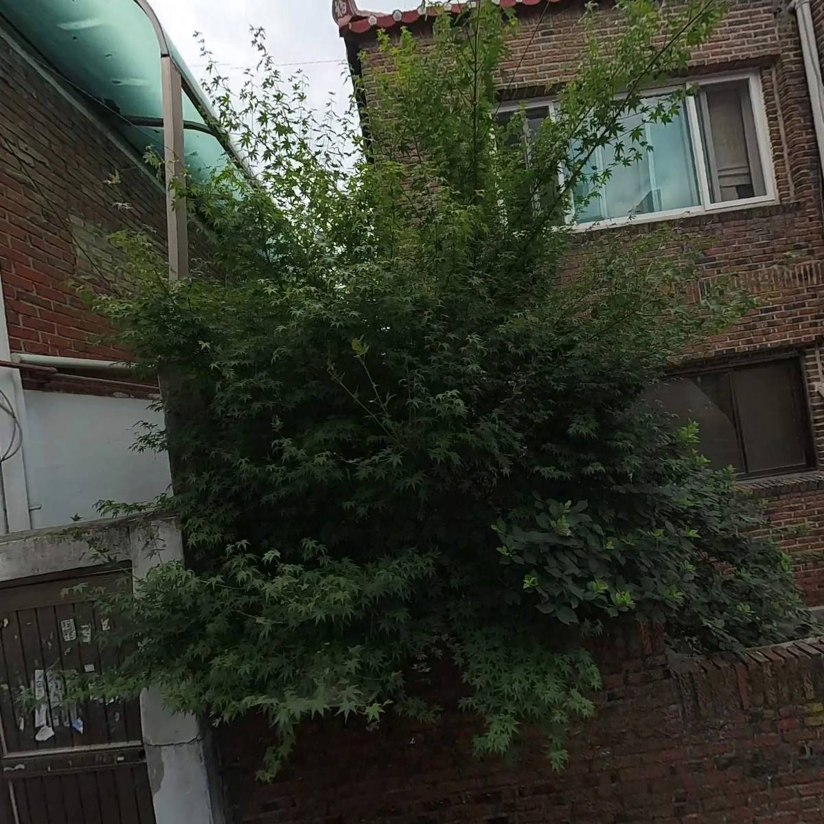 주와함께