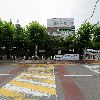 인천광역시 연수구 동춘3동_3